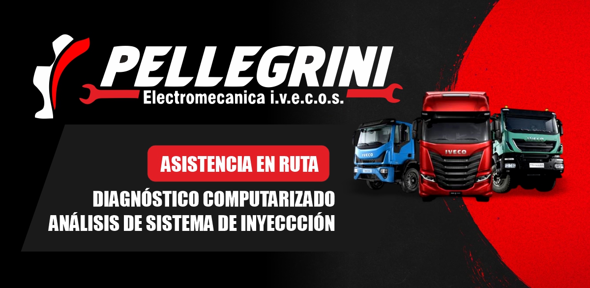pellegrini1 movil